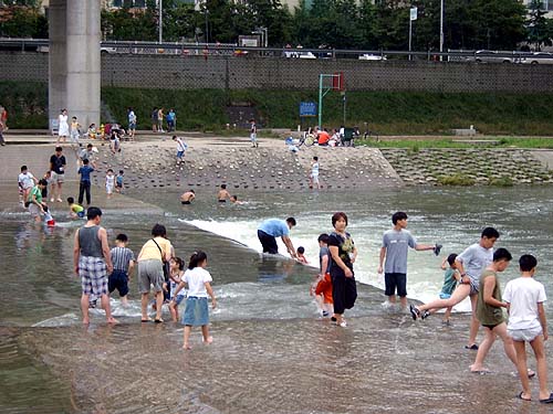 안양천에서 물놀이를 즐기는 시민들 